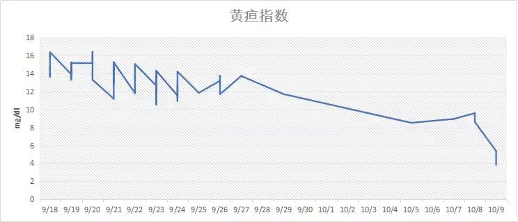 40天500张照片!她用这种方式帮助宝宝平安度过黄疸期,太聪明了