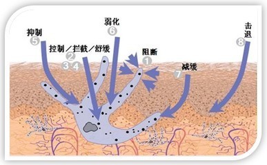 用了vc护肤品是不是不能见光,晚上涂了vc还需要抹其他护肤品吗