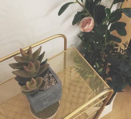 武汉这几家高颜值网红蛋糕甜品店,再不去打卡就晚了!