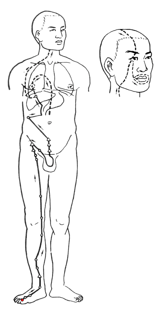 酒精性肝病可以吃龙胆泻肝丸吗,龙胆泻肝丸可以治慢性肝病吗