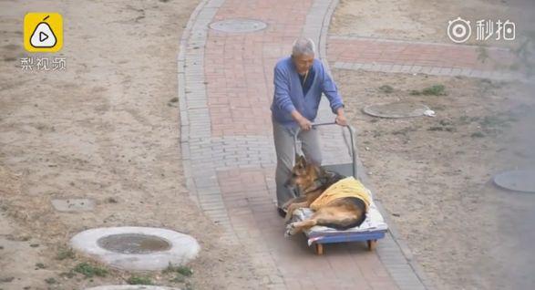 【三分钟法治新闻全知道】德国总理默克尔亲口承认有“恐俄症”？！原来这竟与她小时候自行车被偷有关……