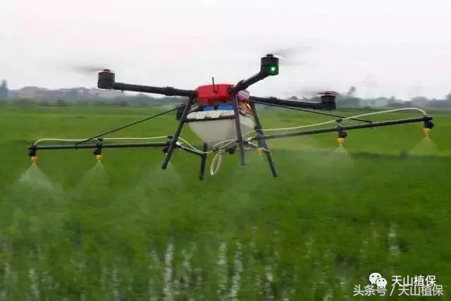 尿素钾肥价格最新行情,今年尿素二铵钾肥价格各多少