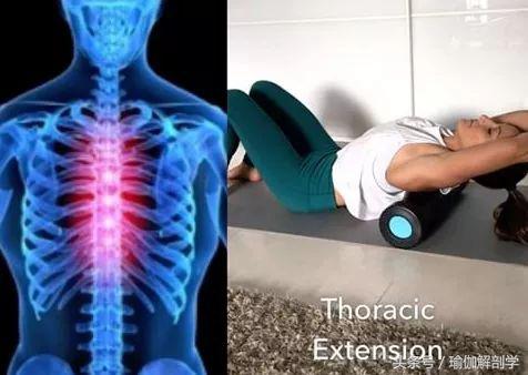 最新疼痛理疗视频,修复理疗瑜伽体式