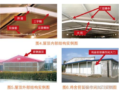 四川鸡场鸡舍怎么搭建最好图片,鸡舍建造全过程详解