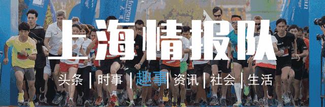 上海奉贤brt路线图,奉贤快速公交网