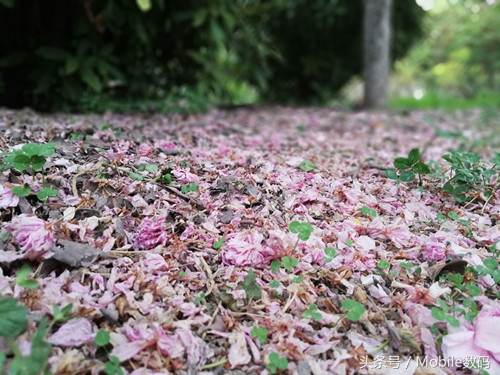 华为nova3e值得吗,华为nova3e值得入手吗