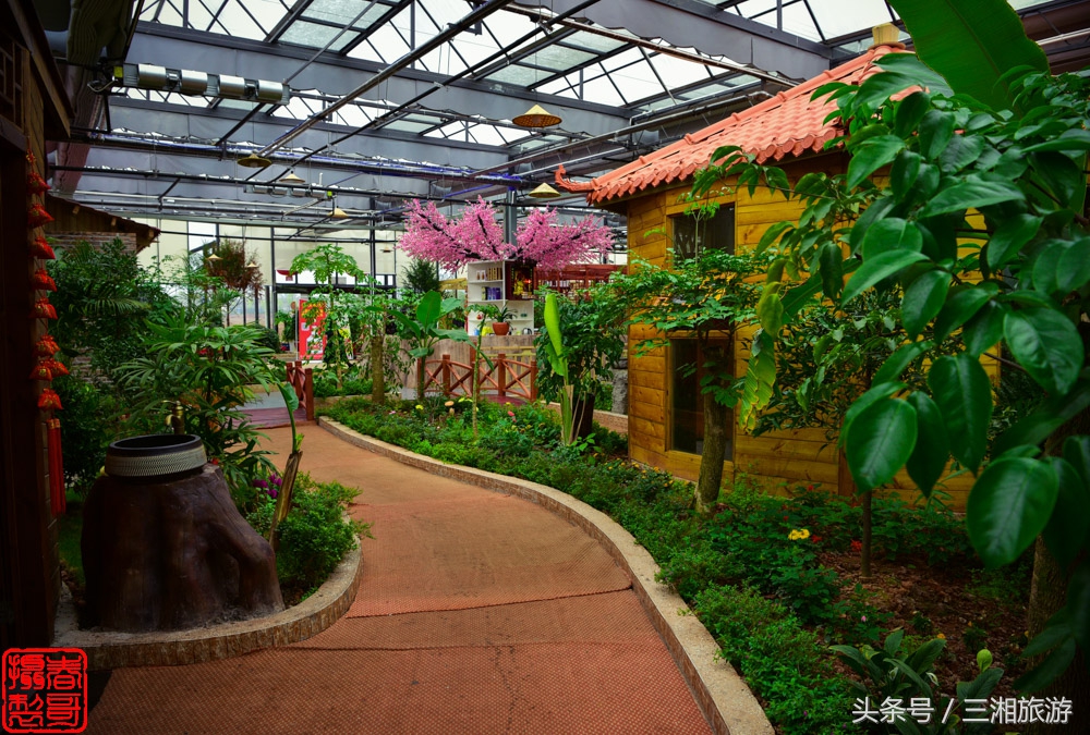 株洲生态休闲农庄生态餐饮,株洲野生鱼饭店