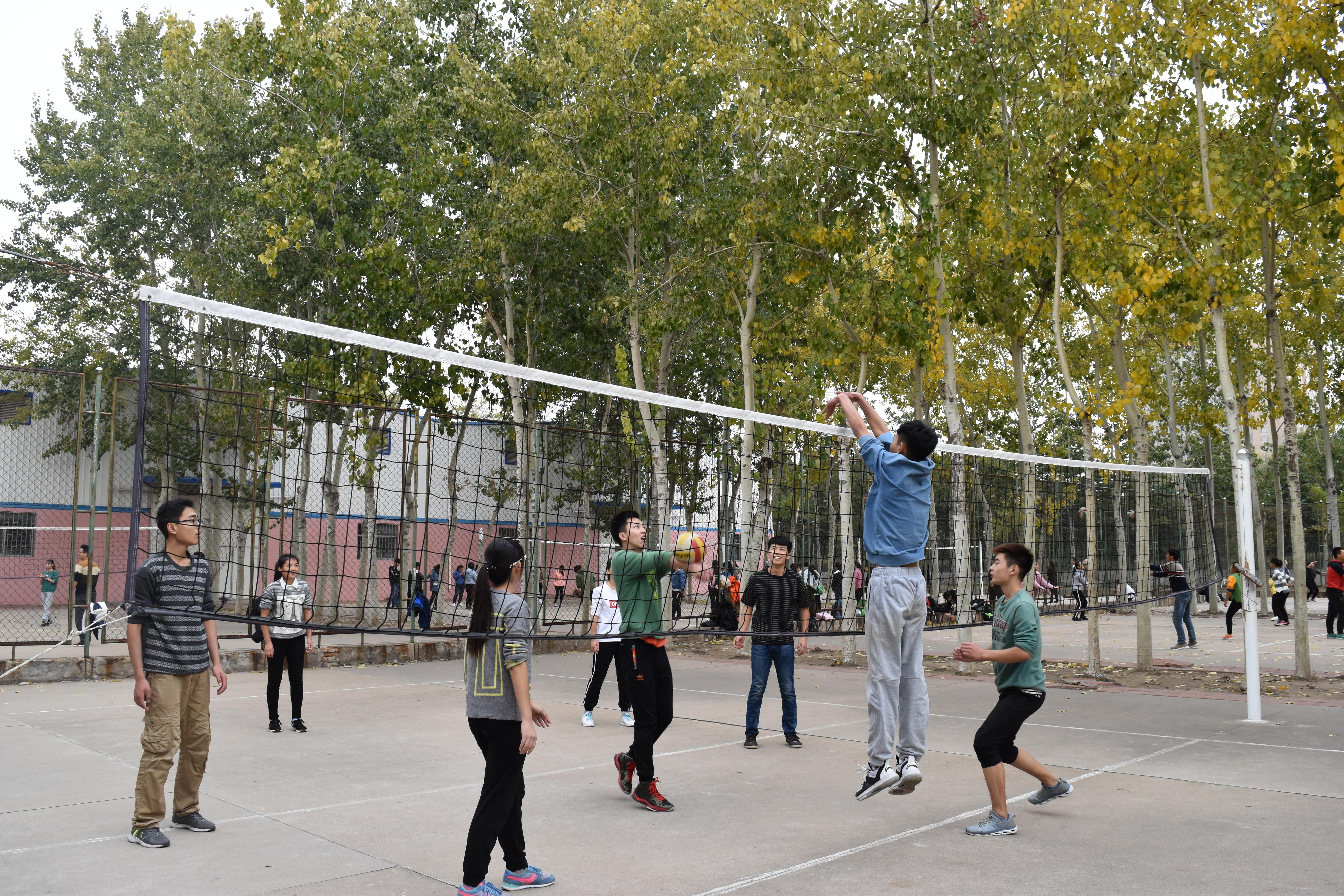 练乒乓球有助于练篮球吗,体育赛事篮球乒乓球