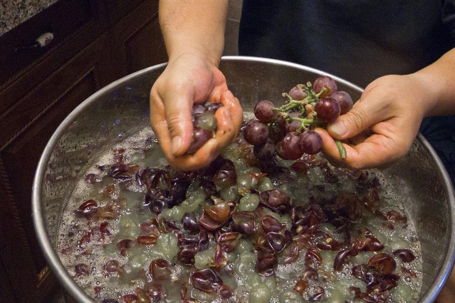 自己在家制作葡萄酒怎么做,在家酿制葡萄酒全部教程