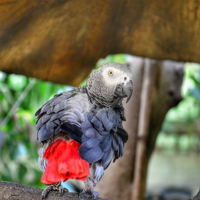 爱旅行爱生活之海南三亚蜈支洲,爱旅行游记攻略