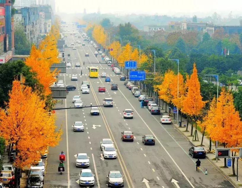 双流网红街,双流网红街打卡地