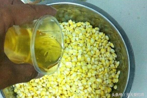 玉米饵料配方野钓测试,野钓最好用的玉米饵料