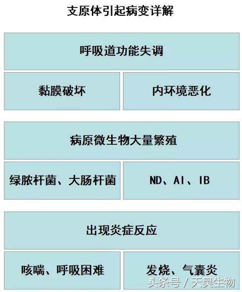万病之源始于毒素,万病之源起于情志不畅