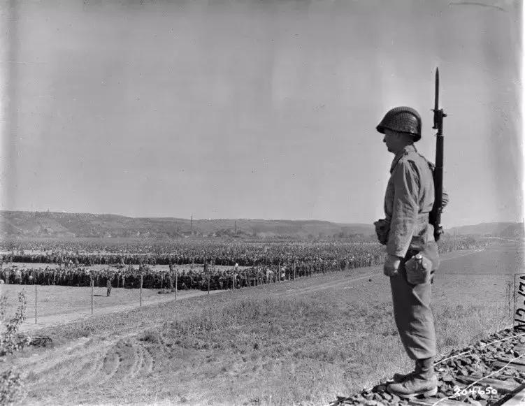 二战德军后期投降视频,假如你是二战德国坦克兵