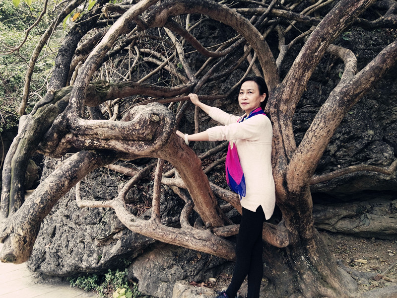 黄果树天星桥美景视频,黄果树天星桥陡坡塘景区介绍