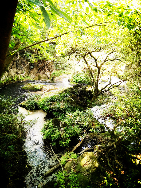 黄果树天星桥美景视频,黄果树天星桥陡坡塘景区介绍