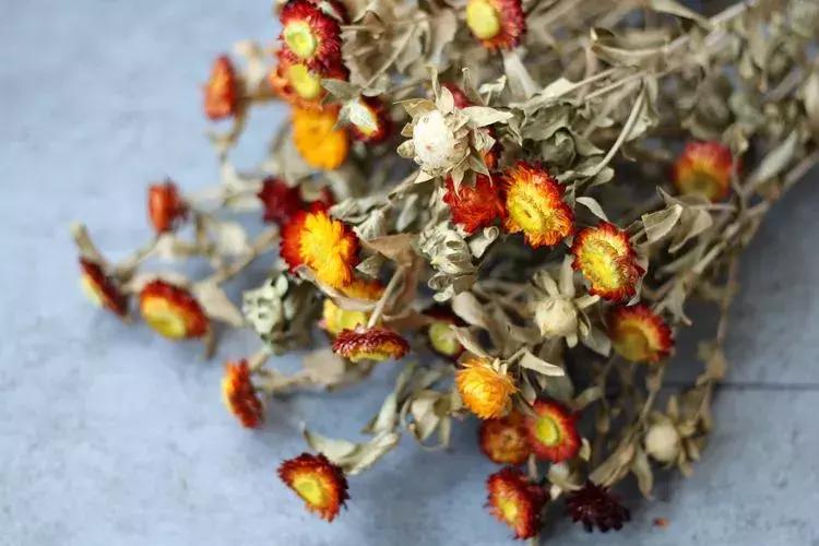 永生花插花制作方法,永生花制作教程520