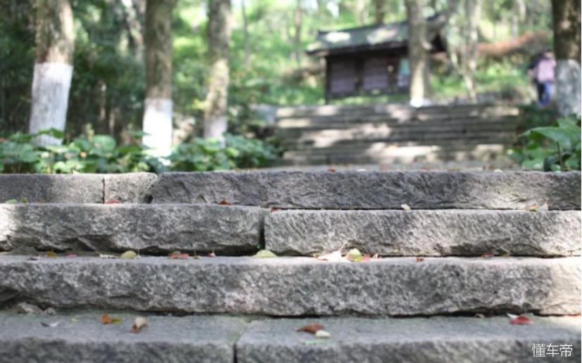 #爵色倾城#MG6和我的第一次春游