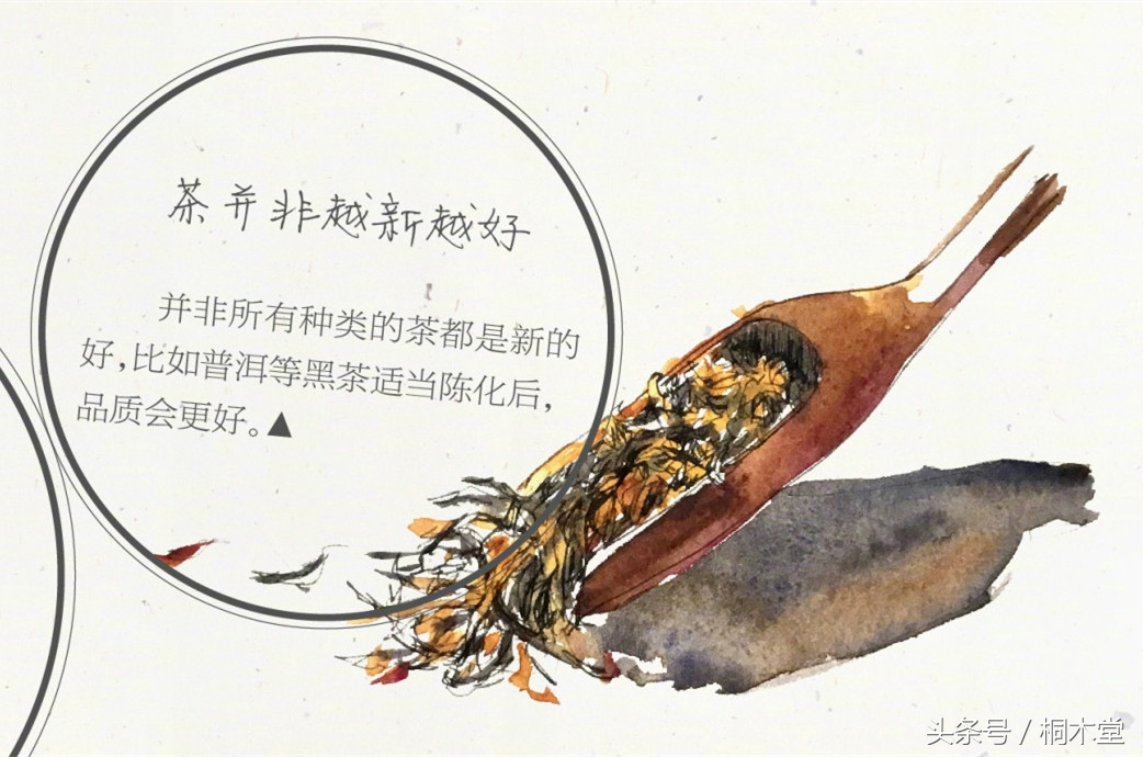 一张图读懂各种茶具,一张品茶实用图