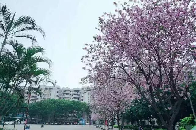 私立华联学院在全国的排名,私立华联学院是正规大学吗