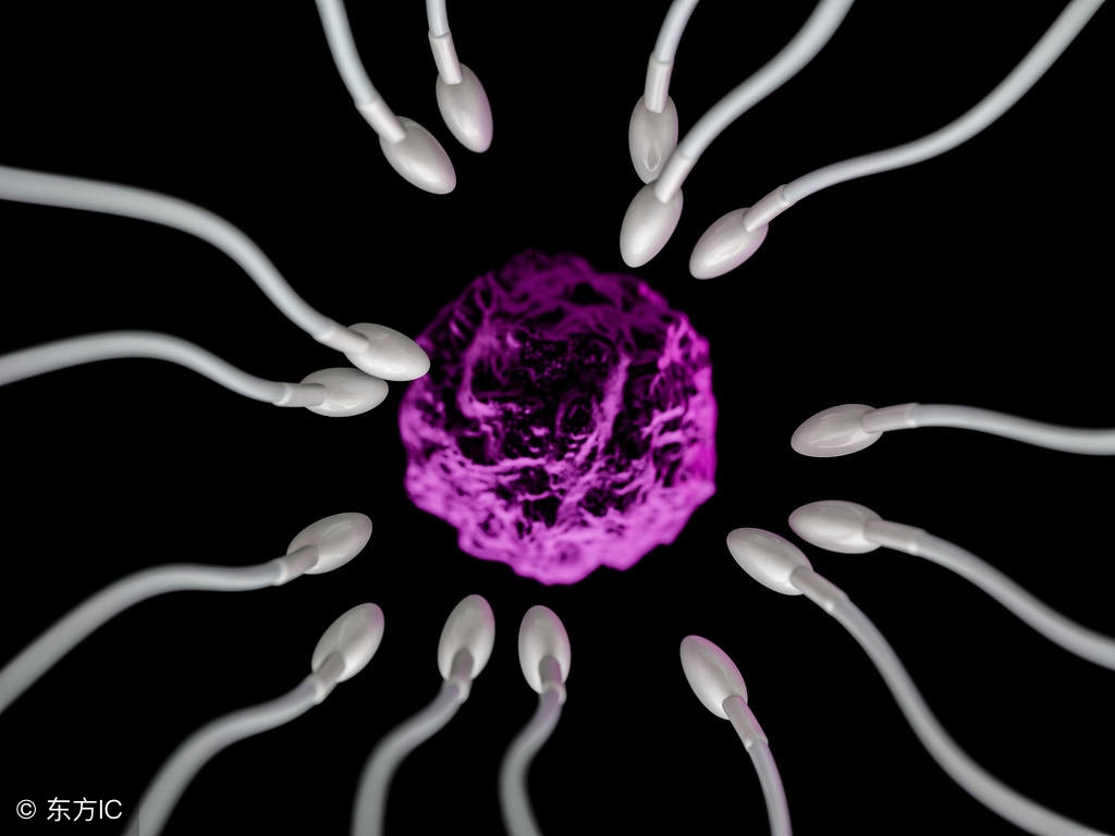 人的精子数亿计，为什么多数只有一个精子能到达卵子？