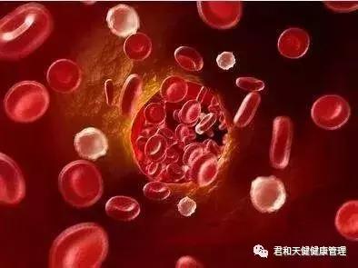 中医的血虚和贫血是一回事吗,贫血不等于血虚的偏方