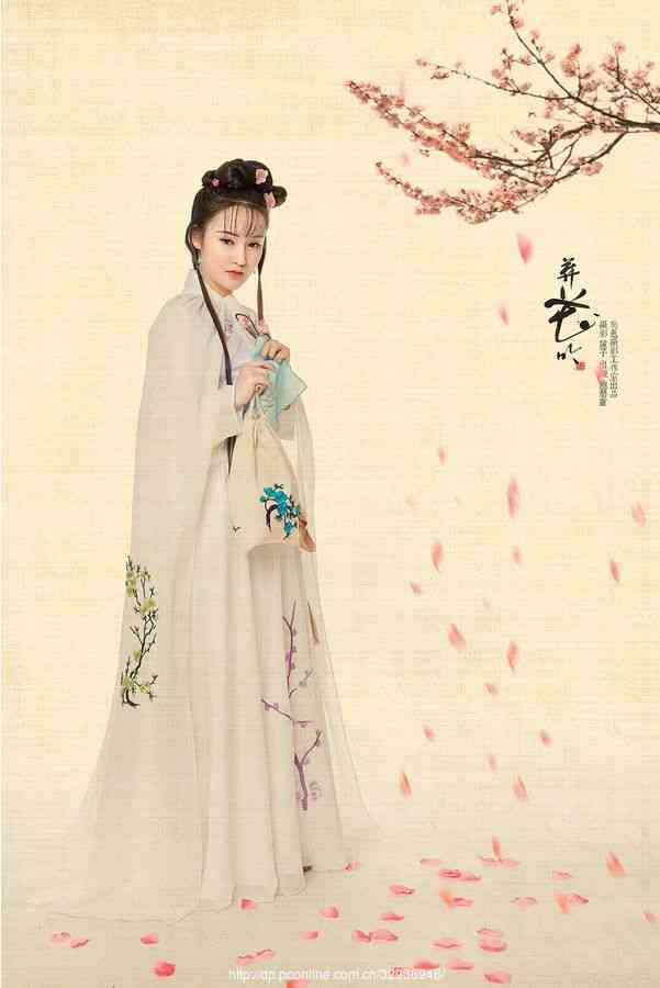 随笔摘抄精美古诗简短,葬花随笔