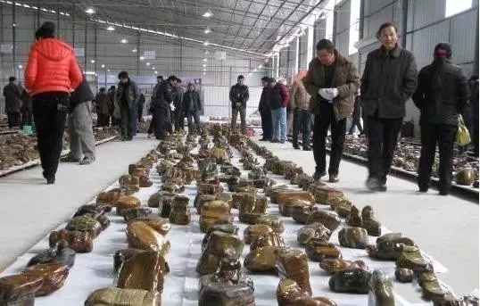 最齐全的全国奇石交易市场 (最真实的奇石市场在哪儿呢)