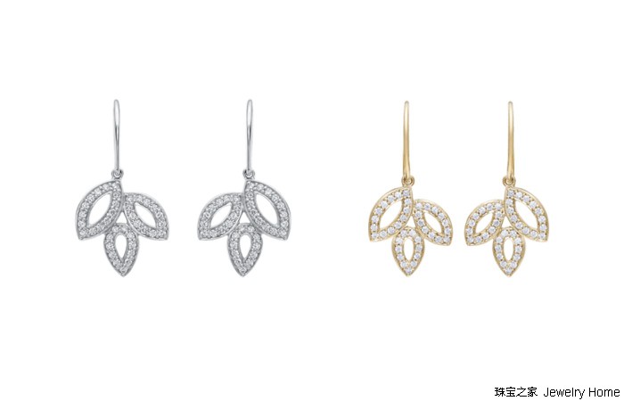 花草丛中，最爱的还是那朵LilyCluster