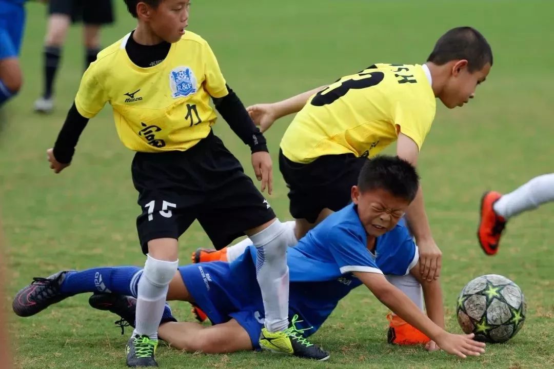 共创|成基金与广州富力达成公益战略合作