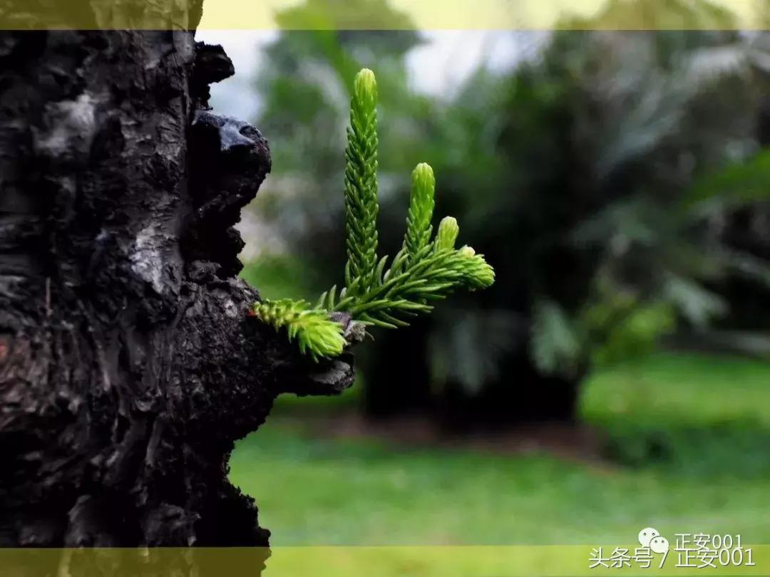 正安男子周先义：户口本名字和出生证不一致，可以修改吗？