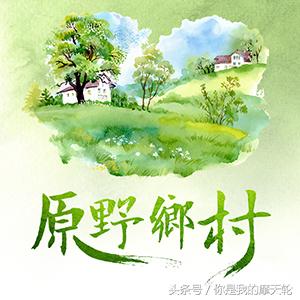 充饥御寒的糌粑，还有丝滑酥油茶，了解一下？（初伊科技）