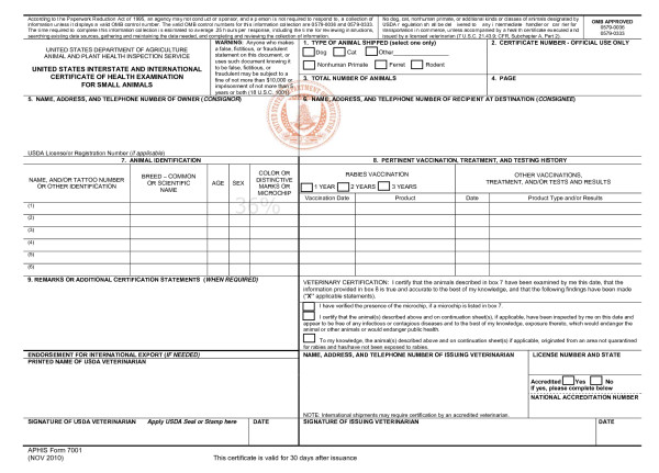 如何把宠物寄回国外呢,怎么把宠物从中国带到美国的流程