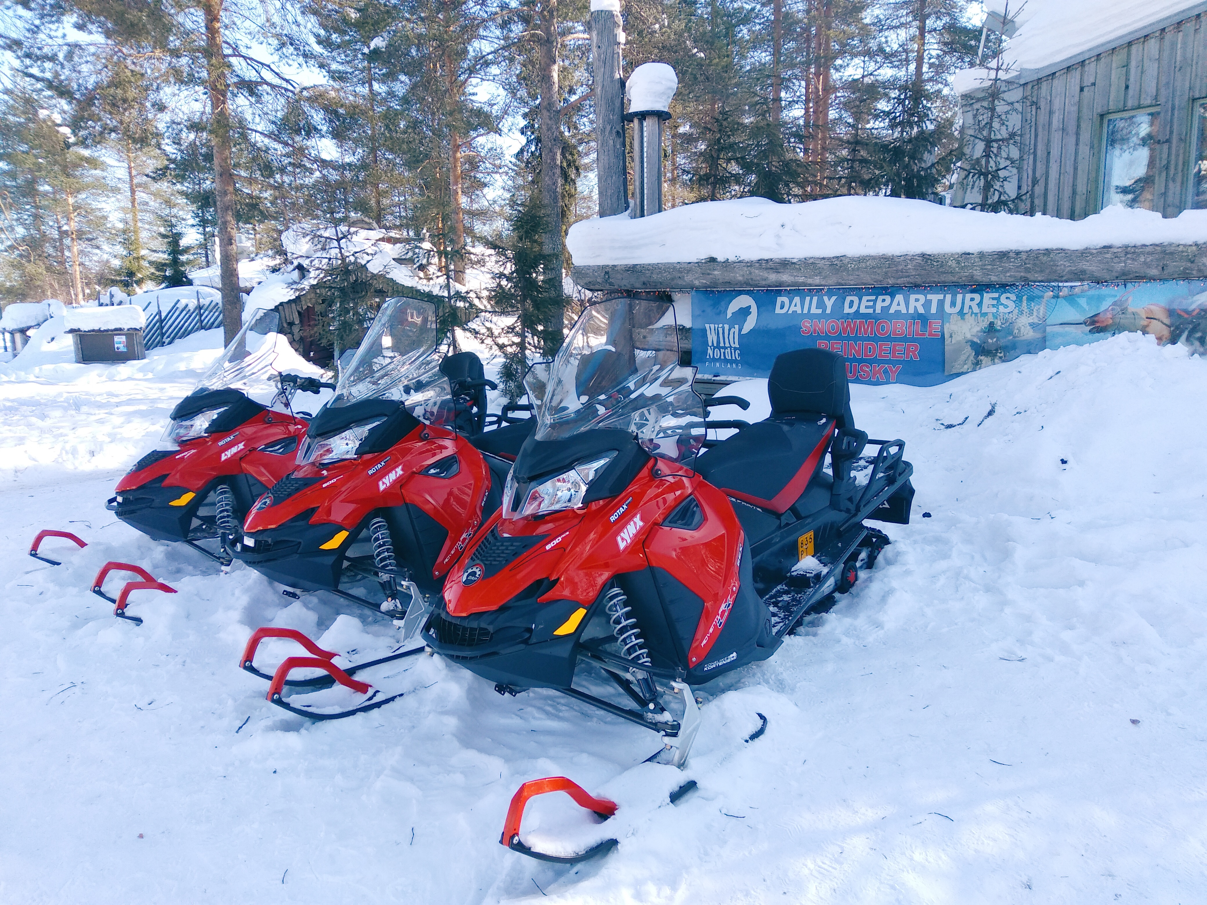 驯鹿拉雪橇旅游,鹿拉雪橇圣诞