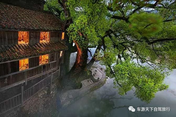 浙江温州最美海边公路推荐,温州公路旅游攻略