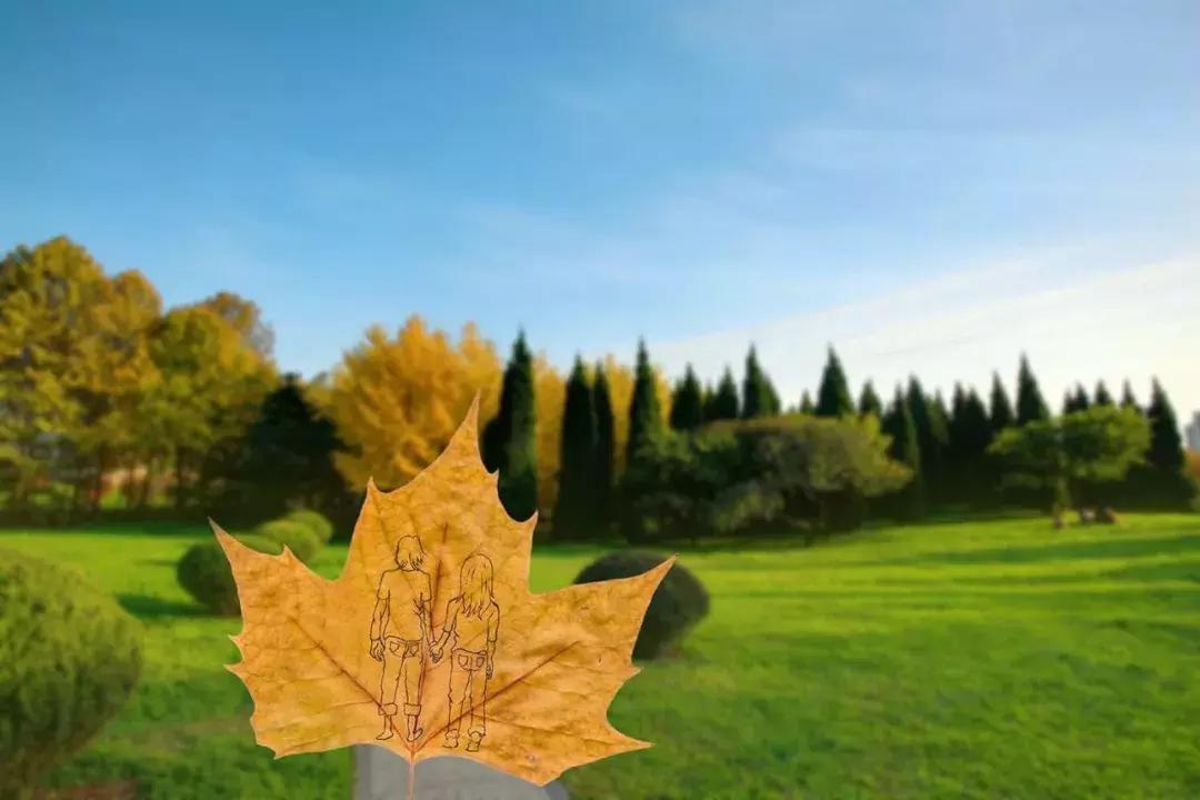 怎么认识西安欧亚学院,西安欧亚学院意见