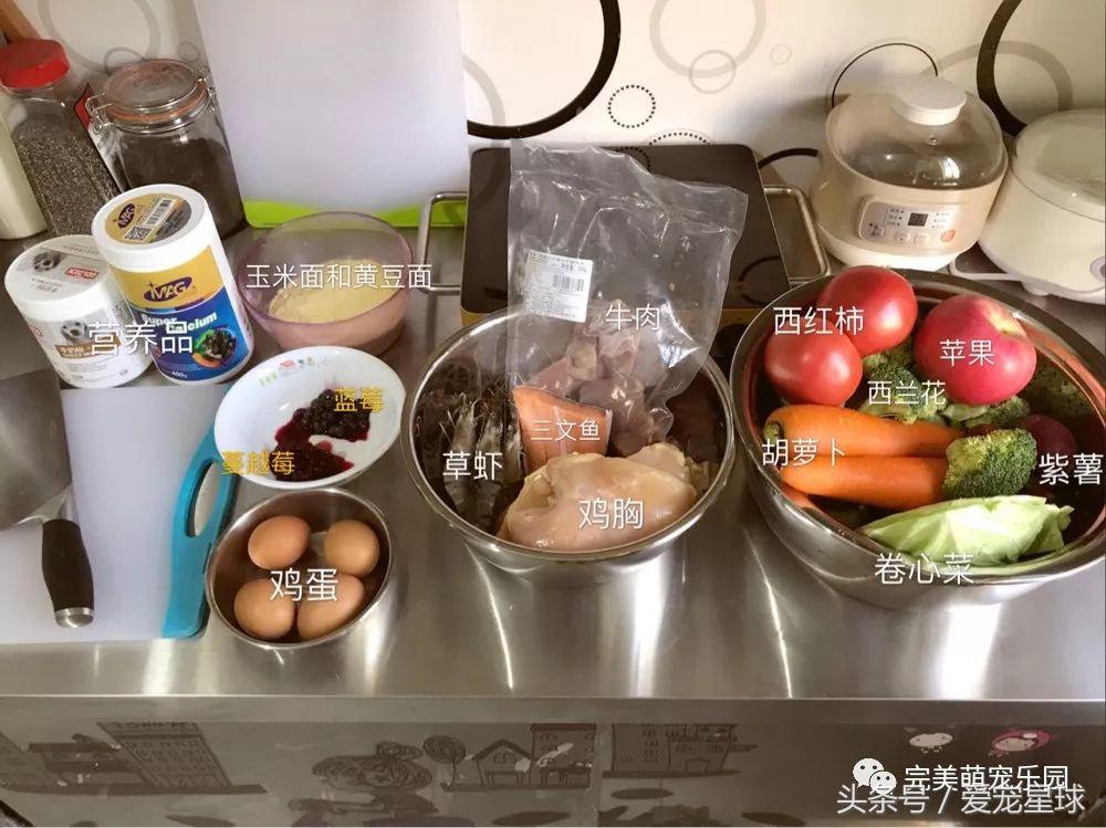 幼犬狗粮自制狗粮教程,怎么给狗自制狗粮器