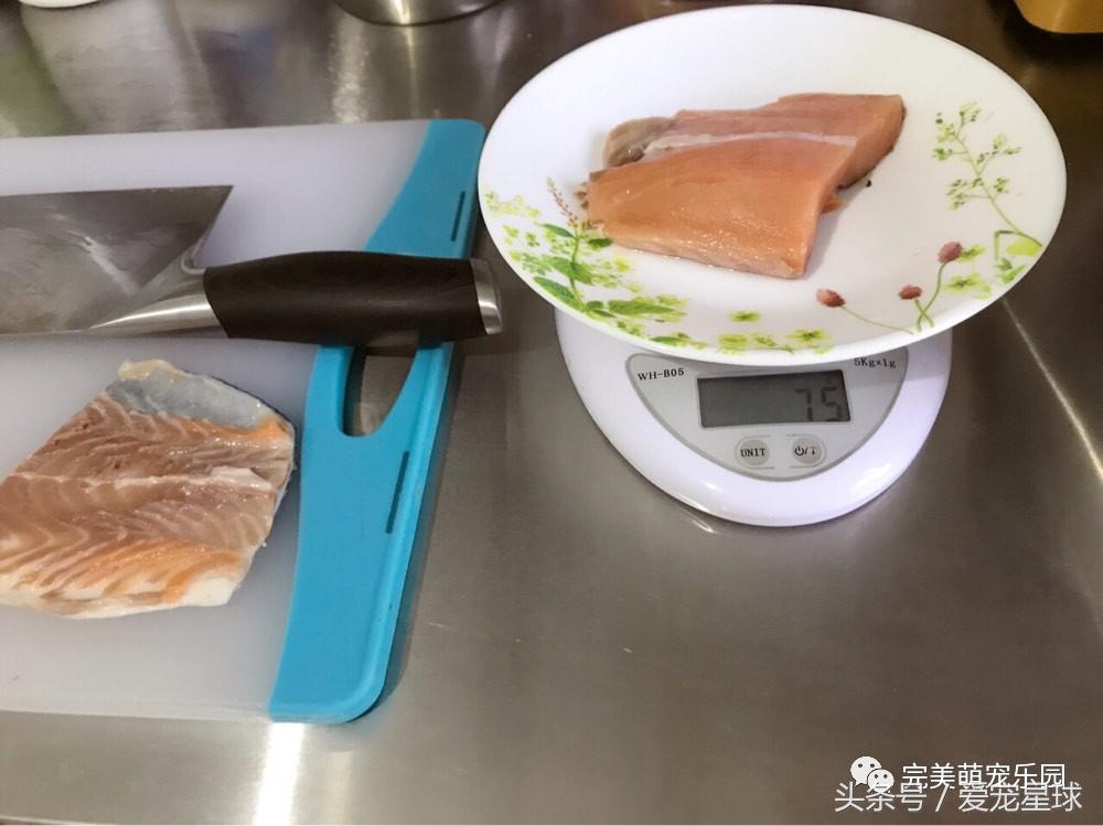 幼犬狗粮自制狗粮教程,怎么给狗自制狗粮器