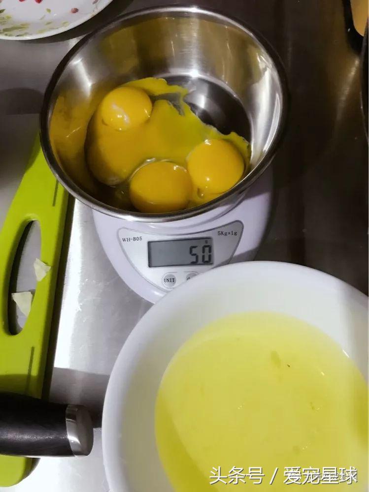 幼犬狗粮自制狗粮教程,怎么给狗自制狗粮器