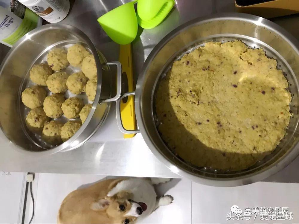 如何自制幼犬去泪痕狗粮视频教程,怎么给狗自制狗粮器