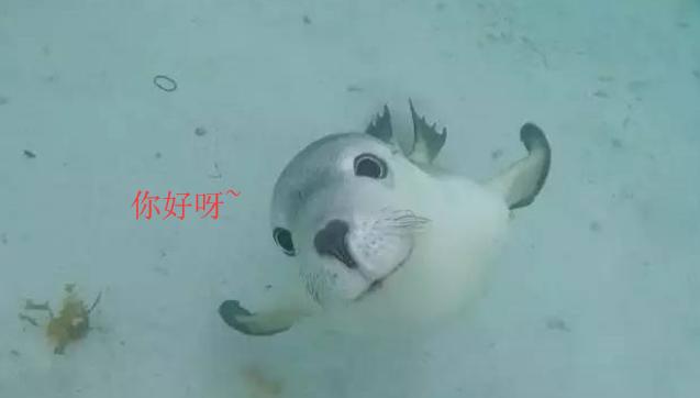 股民的暖冬福利,股民专属福利