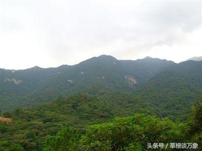 张苏辰的练功经验之谈,张苏辰修炼内丹的全过程