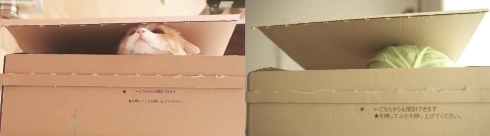 日产和天籁傻傻分不清楚,日清各系列对比