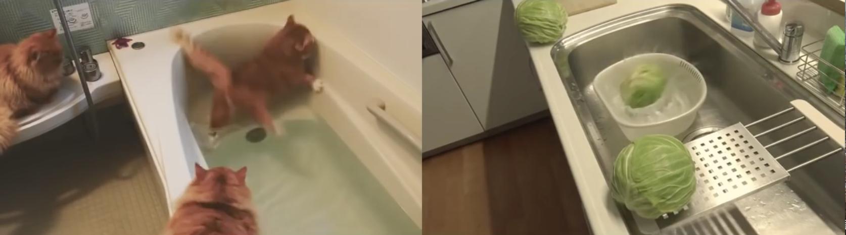 日产和天籁傻傻分不清楚,日清各系列对比