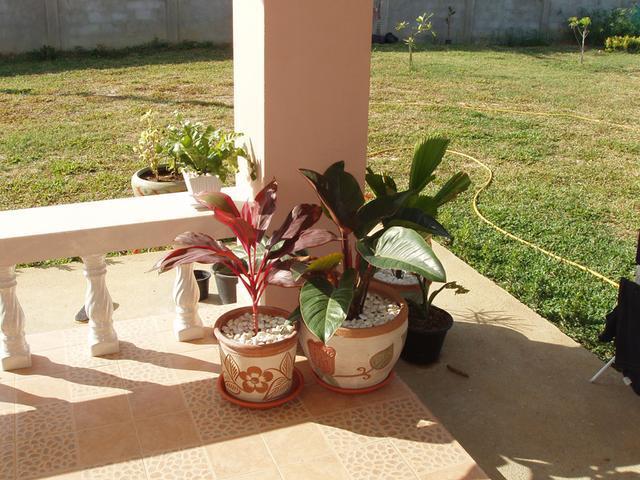 表哥结婚装修视频,表哥结婚