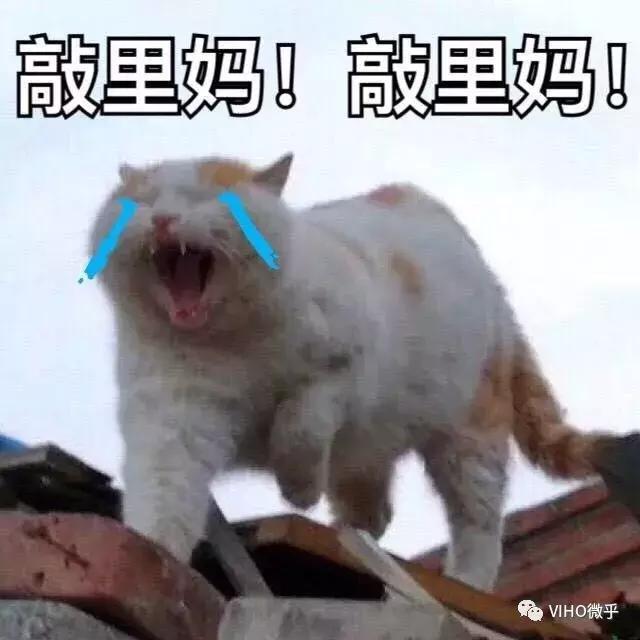 微乎：如何打造朋友圈个人品牌