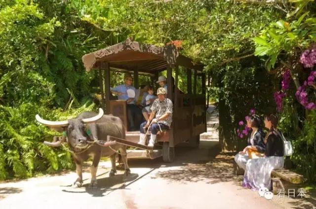 冲绳游玩,冲绳游玩攻略视频