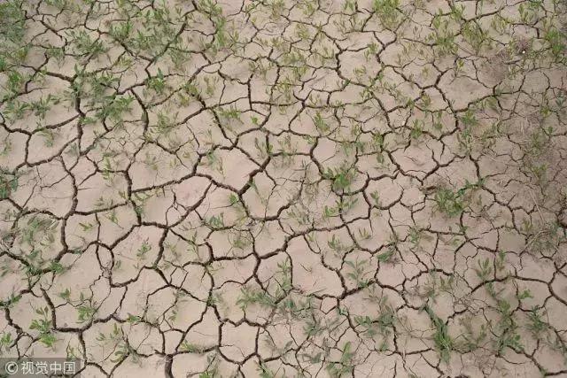 每日一球完整版,每日一字棋