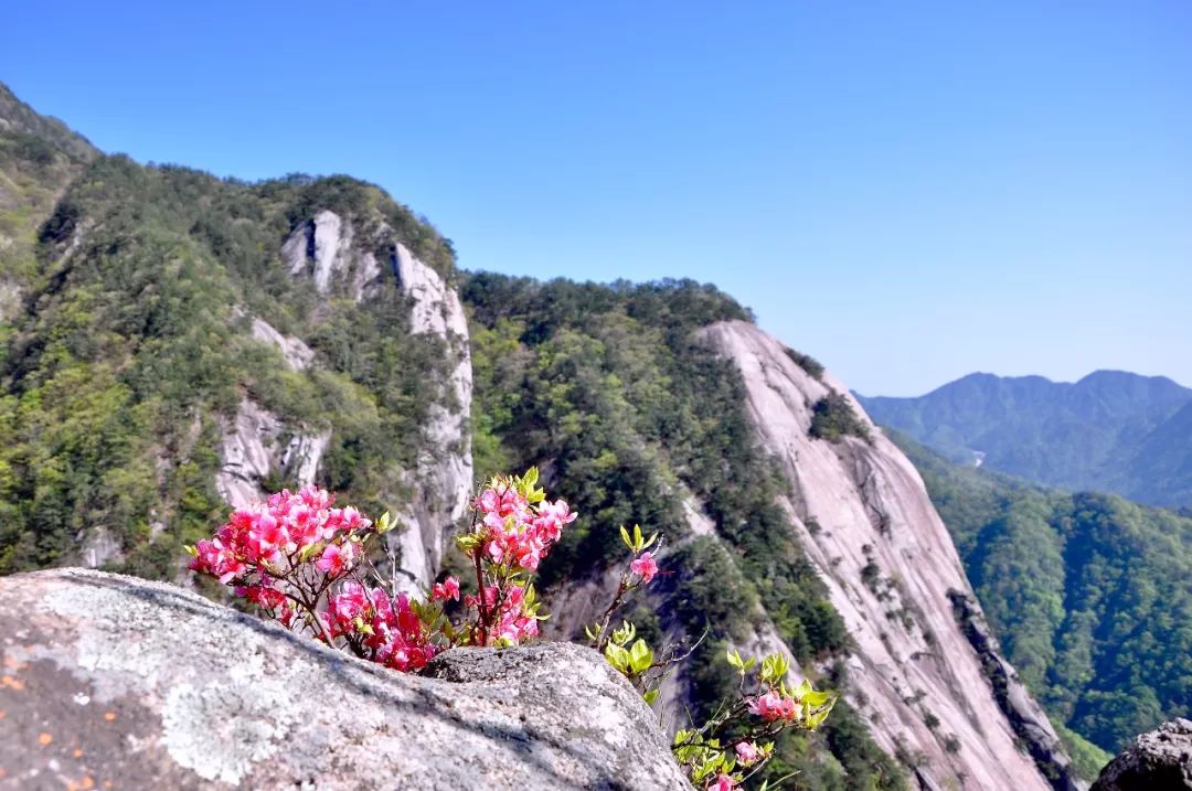 黄冈旅游一日游 (武汉黄冈景区有哪些景点)