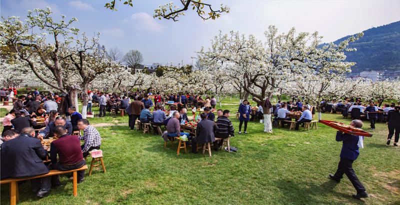 王家人的历史,关于王家人的视频